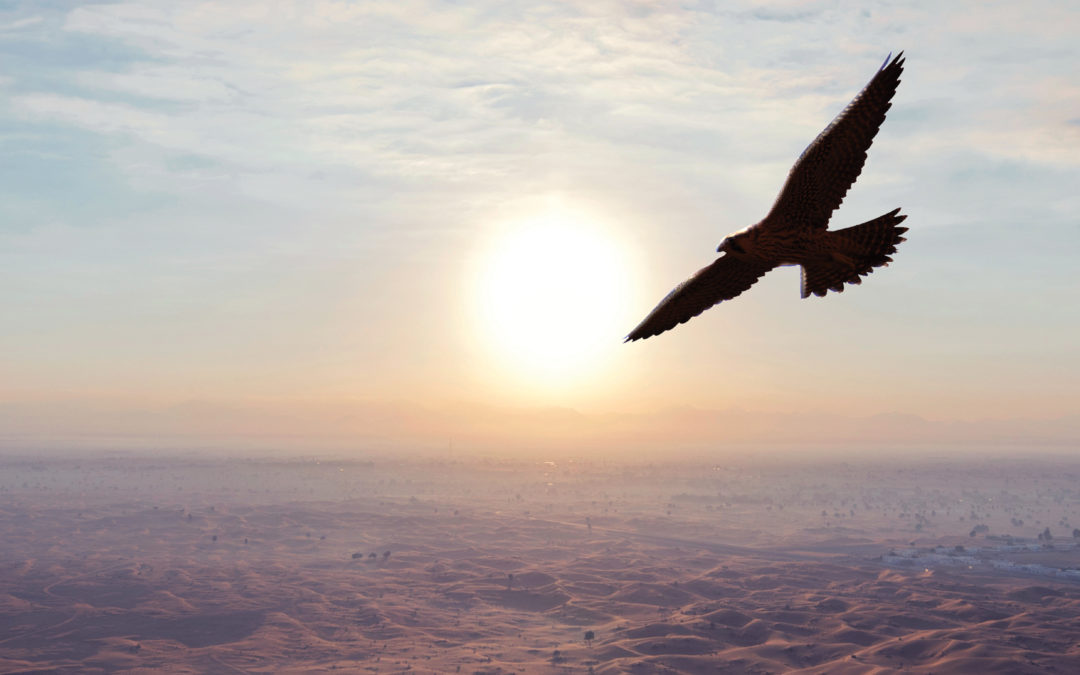 The Path to Financial Independence