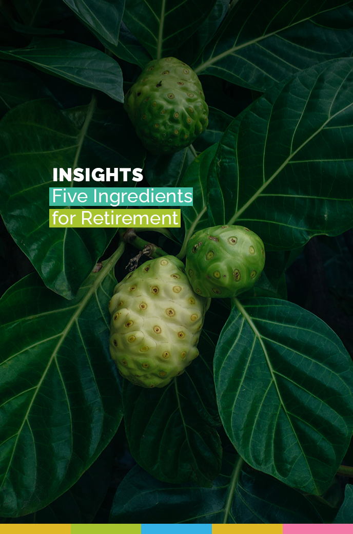 The Five Essential Ingredients For Retirement