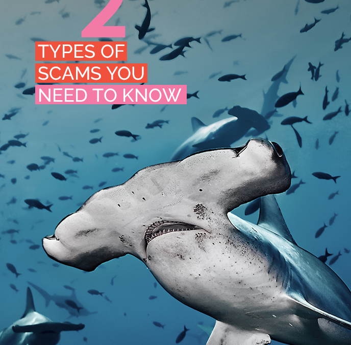 Understanding Scams: The 2 Types of Scams You Need to Know