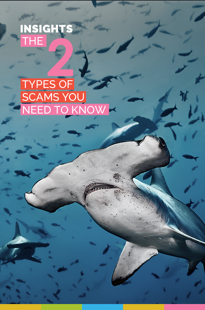 Understanding Scams: The 2 Types of Scams You Need to Know