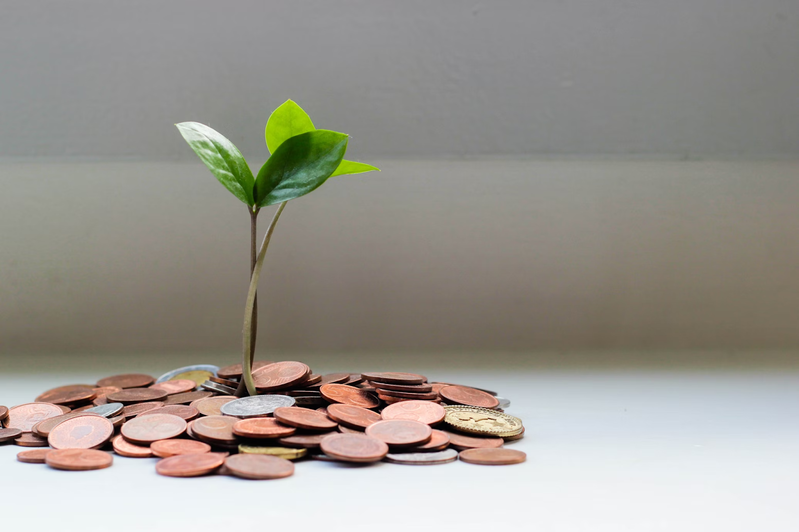 How Supplementary Retirement Scheme Works